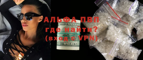 спиды Новодвинск