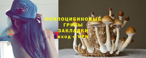 спиды Новодвинск