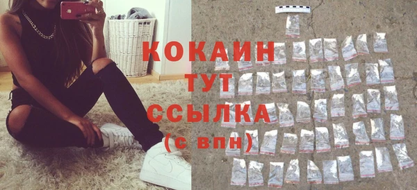 скорость Новозыбков