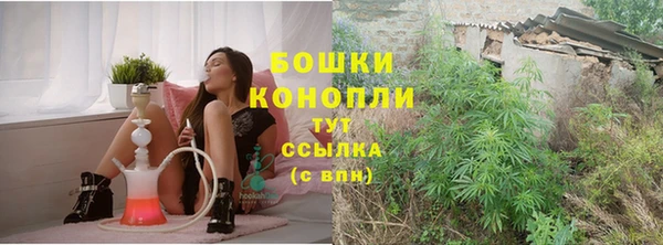 спиды Новодвинск