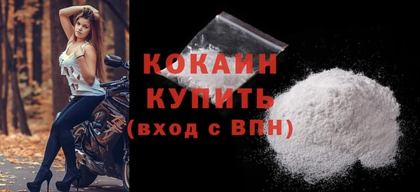 ALPHA PVP Няндома