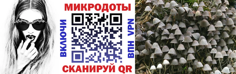 Псилоцибиновые грибы прущие грибы Коряжма