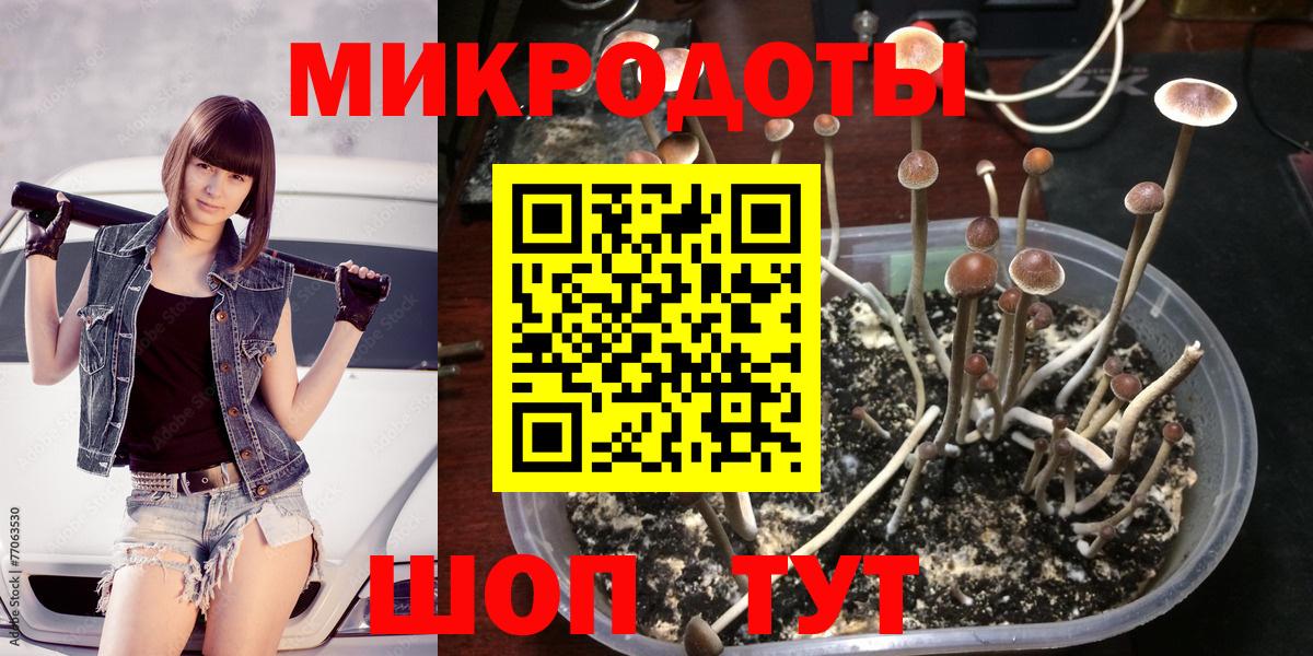 Галлюциногенные грибы прущие грибы Коряжма